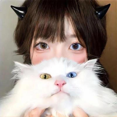 芬奇达