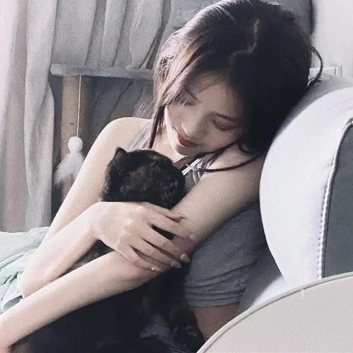 懵仔多情